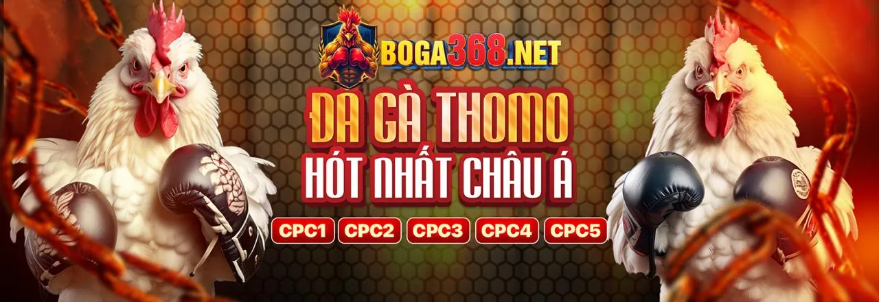 Đá gà trực tuyến kịch tính tại bet8 link vào